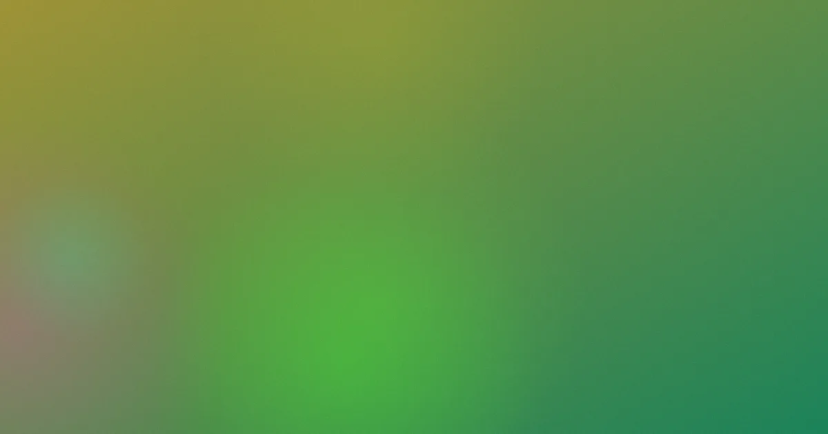 叼黑视频是什么？逐项讲清